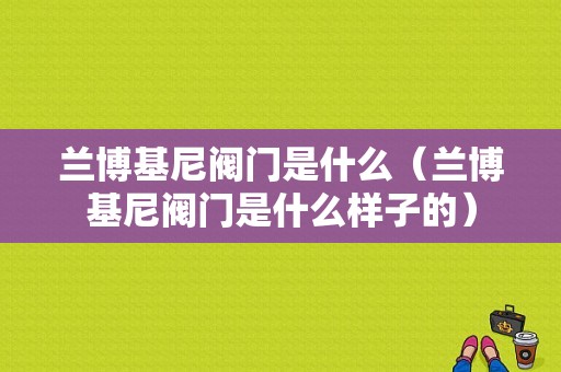 兰博基尼阀门是什么（兰博基尼阀门是什么样子的）-图1