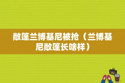 敞篷兰博基尼被抢（兰博基尼敞篷长啥样）-图1