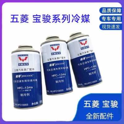 五菱宏光v如何加雪种？五菱宏光加雪种多少钱