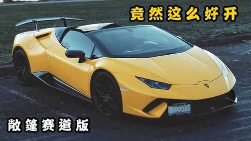兰博基尼大牛小牛漂亮(兰博基尼大牛小牛都叫什么)-图3 兰博基尼大牛小牛漂亮(兰博基尼大牛小牛都叫什么)-图3