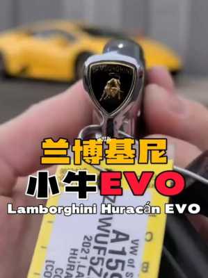 兰博基尼小牛搭电（兰博基尼搭电启动教程）