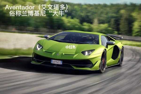 人家的兰博基尼的简单介绍-图3 人家的兰博基尼的简单介绍-图3