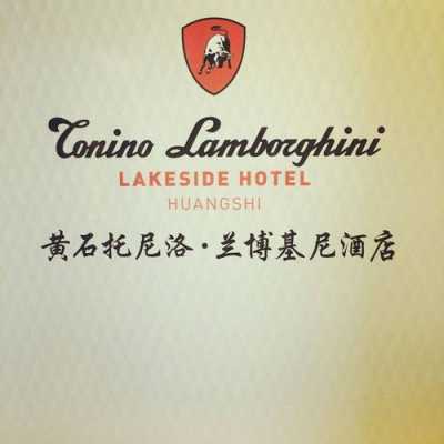 常德托尼洛兰博基尼（托尼洛·兰博基尼酒店公寓）