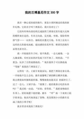 关于兰博基尼的描写(描写兰博基尼的作文)-图1 关于兰博基尼的描写(描写兰博基尼的作文)-图1