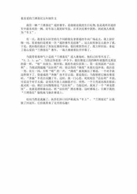 关于兰博基尼的描写(描写兰博基尼的作文)-图2 关于兰博基尼的描写(描写兰博基尼的作文)-图2