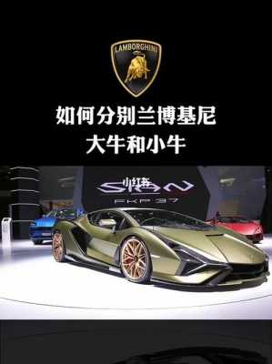 如何区分兰博基尼大牛(如何区分兰博基尼大牛和小牛)-图2 如何区分兰博基尼大牛(如何区分兰博基尼大牛和小牛)-图2