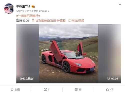兰博基尼川藏直播(兰博基尼的直播)-图2 兰博基尼川藏直播(兰博基尼的直播)-图2