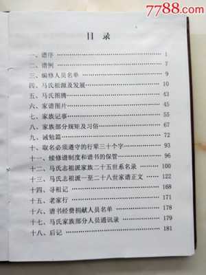 河南马氏家谱中包括所有马氏吗？玉林二手五菱宏光