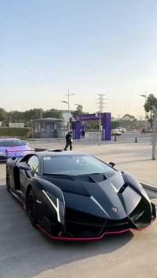 中国仿制兰博基尼毒药(中国有兰博基尼毒药)-图3 中国仿制兰博基尼毒药(中国有兰博基尼毒药)-图3