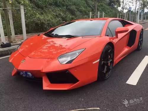 兰博基尼论坛(兰博基尼贴吧)-图2 兰博基尼论坛(兰博基尼贴吧)-图2
