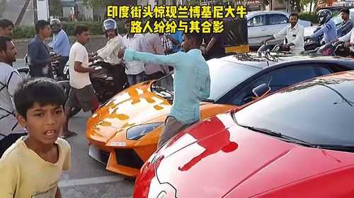 印度收购兰博基尼(兰博基尼在印度卖多少钱)-图2 印度收购兰博基尼(兰博基尼在印度卖多少钱)-图2