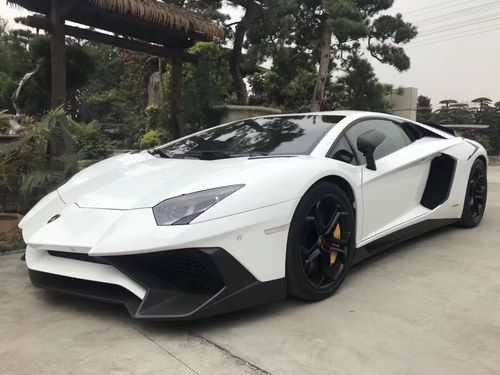 兰博基尼大牛选配多少(兰博基尼大牛哪个型号最好)-图3 兰博基尼大牛选配多少(兰博基尼大牛哪个型号最好)-图3