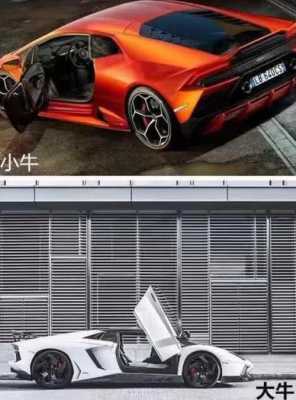 兰博基尼小牛大牛价位(兰博基尼小牛 大牛)-图3 兰博基尼小牛大牛价位(兰博基尼小牛 大牛)-图3
