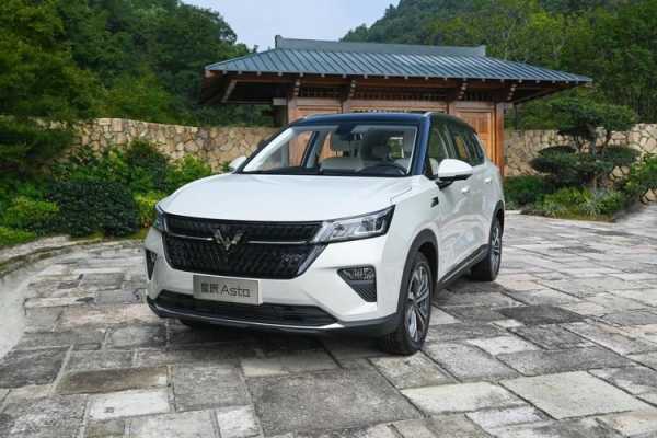 五菱宏光suv星辰落地价?五菱宏光suv价格-图3 五菱宏光suv星辰落地价?五菱宏光suv价格-图3