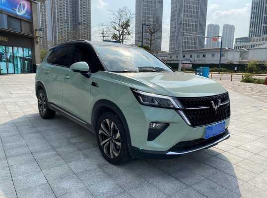 五菱宏光星辰与宝来哪个好?上海大众五菱宏光-图2 五菱宏光星辰与宝来哪个好?上海大众五菱宏光-图2
