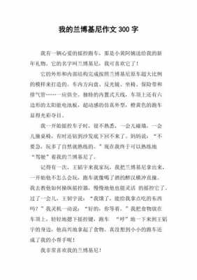 关于兰博基尼的作文（关于兰博基尼的句子）