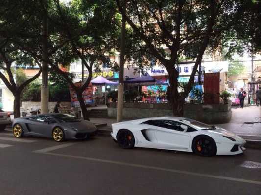 成都兰博基尼街上视频(成都兰博基尼公寓现状)-图3 成都兰博基尼街上视频(成都兰博基尼公寓现状)-图3