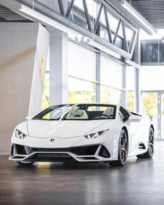 兰博基尼蝰蛇汽车(兰博基尼huracan evo spyder)-图3 兰博基尼蝰蛇汽车(兰博基尼huracan evo spyder)-图3