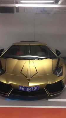 黄金兰博基尼(黄金兰博基尼大牛)-图3 黄金兰博基尼(黄金兰博基尼大牛)-图3
