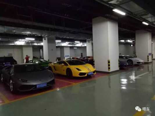 兰博基尼停车场(兰博基尼停车步骤)-图2 兰博基尼停车场(兰博基尼停车步骤)-图2