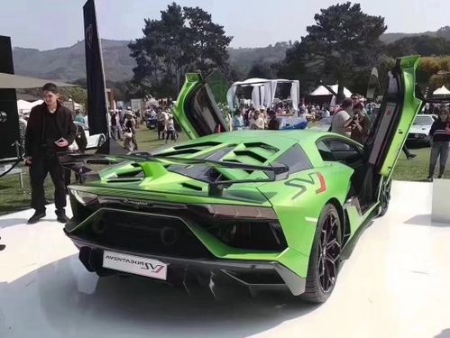 兰博基尼大牛的重量(兰博基尼大牛各种具体型号)-图3 兰博基尼大牛的重量(兰博基尼大牛各种具体型号)-图3