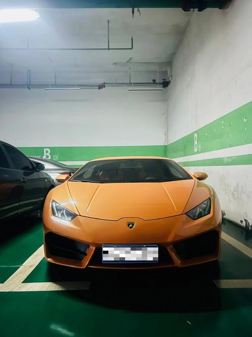 你a兰博基尼(让我看一下兰博基尼)-图3 你a兰博基尼(让我看一下兰博基尼)-图3