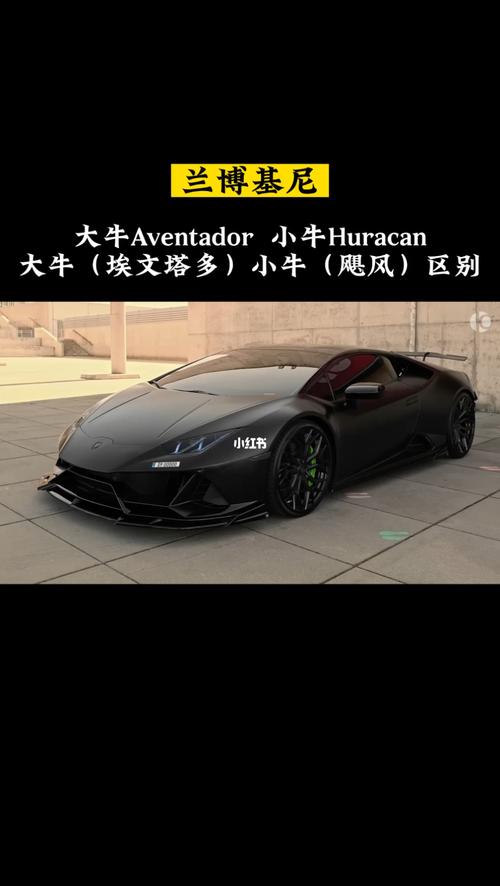 兰博基尼大牛mansory（兰博基尼大牛小牛区别）