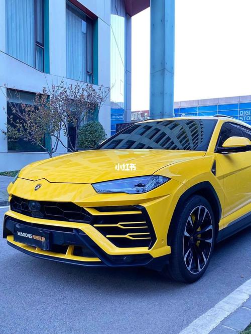 兰博基尼大黄(兰博基尼大黄蜂suv)-图1 兰博基尼大黄(兰博基尼大黄蜂suv)-图1