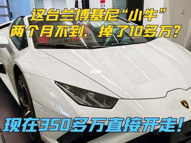 小牛兰博基尼事故率(兰博基尼小牛停产了吗)-图3 小牛兰博基尼事故率(兰博基尼小牛停产了吗)-图3