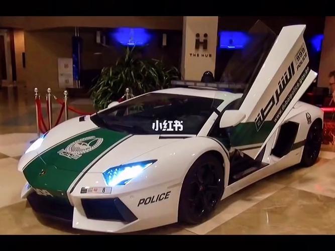 兰博基尼捐赠警车(兰博基尼案件)-图3 兰博基尼捐赠警车(兰博基尼案件)-图3