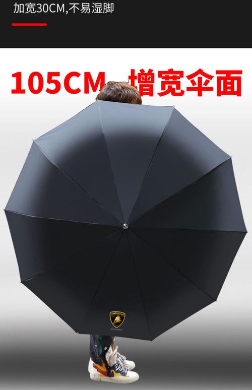 雨天兰博基尼图片大全（兰博基尼的雨伞）