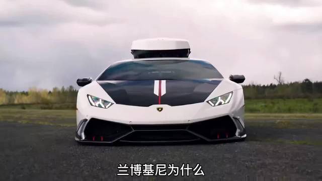 兰博基尼区分大牛(兰博基尼区分大牛和小车)-图2 兰博基尼区分大牛(兰博基尼区分大牛和小车)-图2