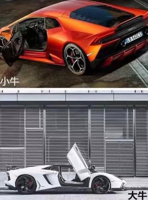 兰博基尼区分大牛(兰博基尼区分大牛和小车)-图1 兰博基尼区分大牛(兰博基尼区分大牛和小车)-图1