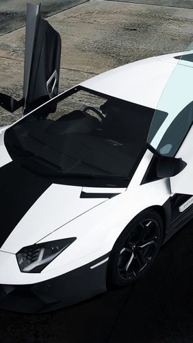 黑白配兰博基尼(兰博基尼aventador黑白)-图1 黑白配兰博基尼(兰博基尼aventador黑白)-图1