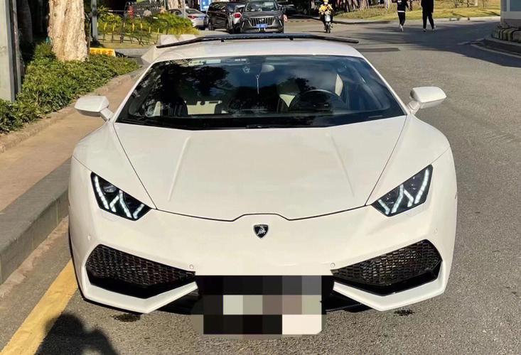 兰博基尼限量版二手车(兰博基尼二手车多少钱一辆)-图3 兰博基尼限量版二手车(兰博基尼二手车多少钱一辆)-图3