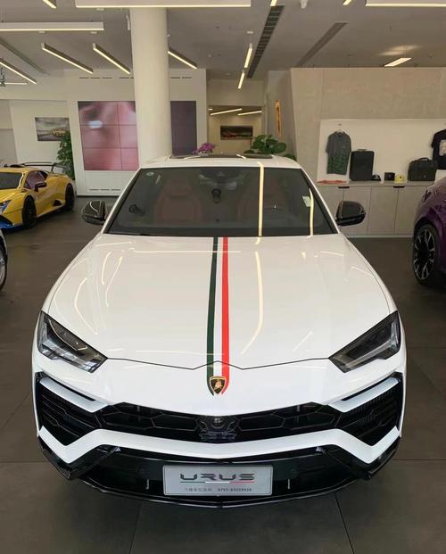 白山吧兰博基尼(兰博基尼白色suv)-图3 白山吧兰博基尼(兰博基尼白色suv)-图3