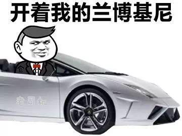 兰博基尼表情包（兰博基尼表情包搞笑）