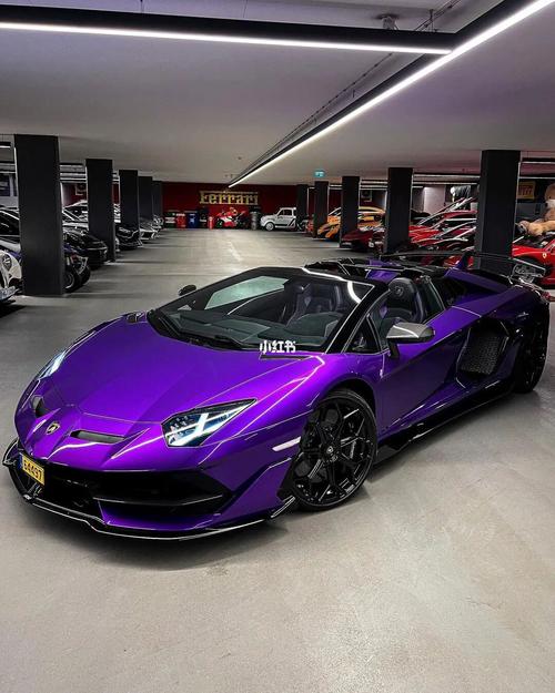 兰博基尼紫彩色(兰博基尼aventador紫色)-图3 兰博基尼紫彩色(兰博基尼aventador紫色)-图3