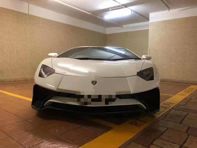 上海兰博基尼750(上海兰博基尼专卖店)-图3 上海兰博基尼750(上海兰博基尼专卖店)-图3