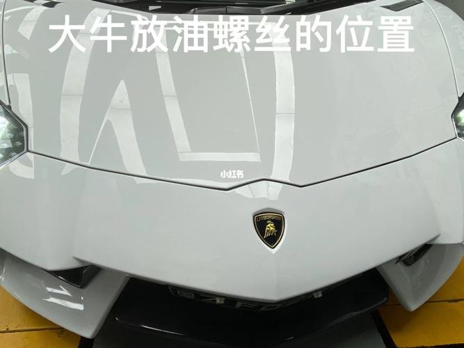兰博基尼放油螺丝(兰博基尼怎么加机油)-图3 兰博基尼放油螺丝(兰博基尼怎么加机油)-图3