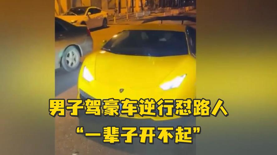 逆行砸兰博基尼（男子驾驶兰博基尼逆行被行拘）