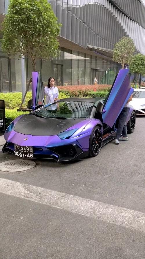 郭大爷兰博基尼(兰博基尼大牛视频,现场比赛)-图3 郭大爷兰博基尼(兰博基尼大牛视频,现场比赛)-图3