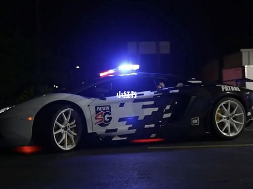 漫画警车兰博基尼(警车兰博基尼图片)-图2 漫画警车兰博基尼(警车兰博基尼图片)-图2