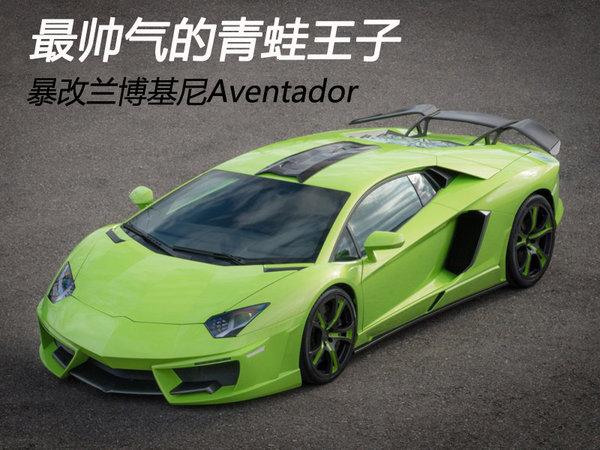 兰博基尼青蛙的简单介绍-图3 兰博基尼青蛙的简单介绍-图3
