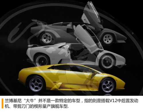 剪刀门敞篷兰博基尼(兰博基尼剪刀门原理)-图3 剪刀门敞篷兰博基尼(兰博基尼剪刀门原理)-图3