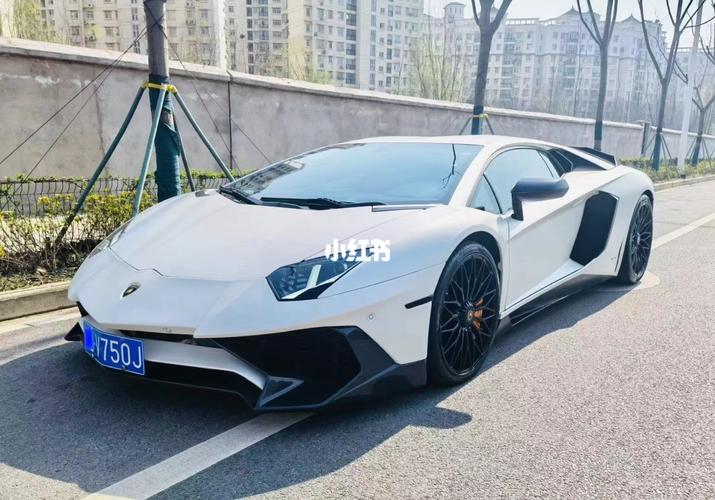 河北沧州兰博基尼(张家口兰博基尼)-图2 河北沧州兰博基尼(张家口兰博基尼)-图2