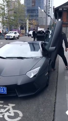 开兰博基尼真土豪(开兰博基尼的人身价)-图3 开兰博基尼真土豪(开兰博基尼的人身价)-图3