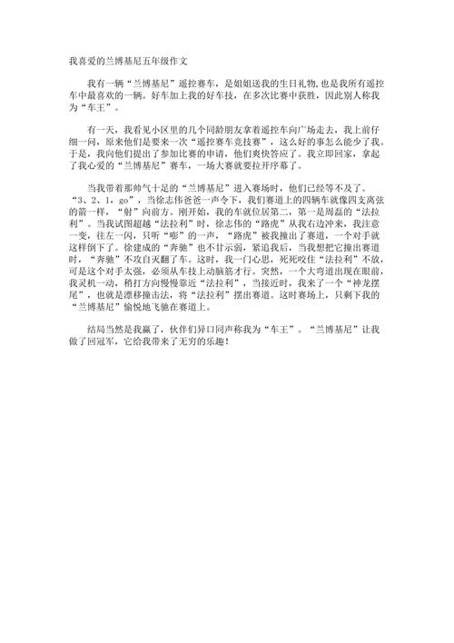 兰博基尼作文500(关于兰博基尼的作文600字)-图2 兰博基尼作文500(关于兰博基尼的作文600字)-图2