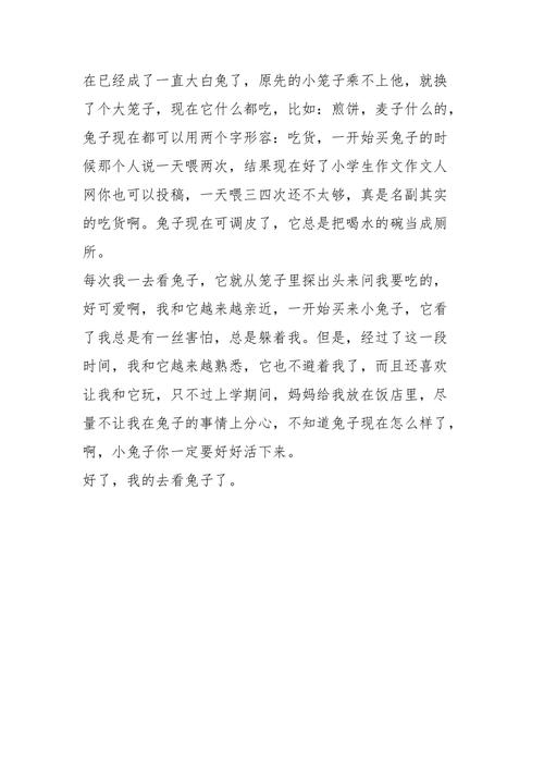兰博基尼作文500(关于兰博基尼的作文600字)-图3 兰博基尼作文500(关于兰博基尼的作文600字)-图3
