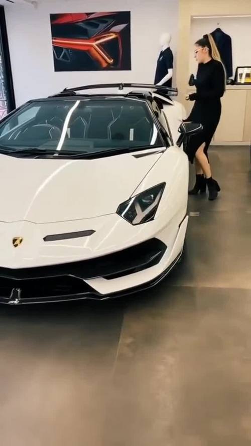 美女兰博基尼顺风车(兰博基尼女性跑车)-图3 美女兰博基尼顺风车(兰博基尼女性跑车)-图3